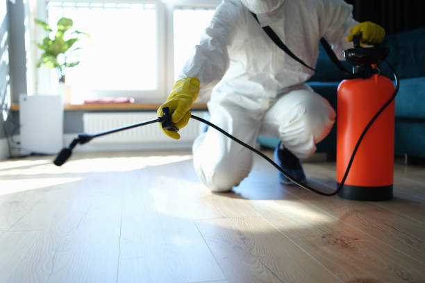 Reliable Hoarding Cleanup contractor in Branchville, NJ by Crime Scene Cleaner Online
